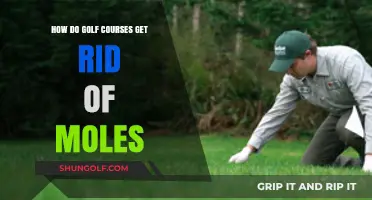 Effective Mole Control Strategies for Golf Course Maintenance