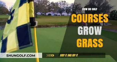 Mastering Turf Management: Secrets to Growing Perfect Golf Course Grass