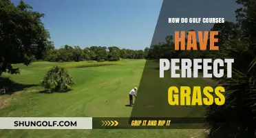 Secrets to Golf Course Perfection: Achieving Immaculate Greens and Fairways