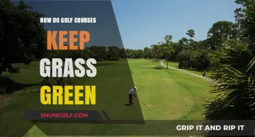 Secrets to Lush Fairways: How Golf Courses Maintain Perfectly Green Grass