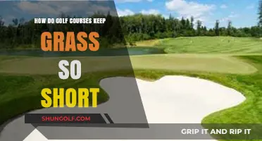 The Secret Techniques Golf Courses Use to Maintain Perfectly Trimmed Greens