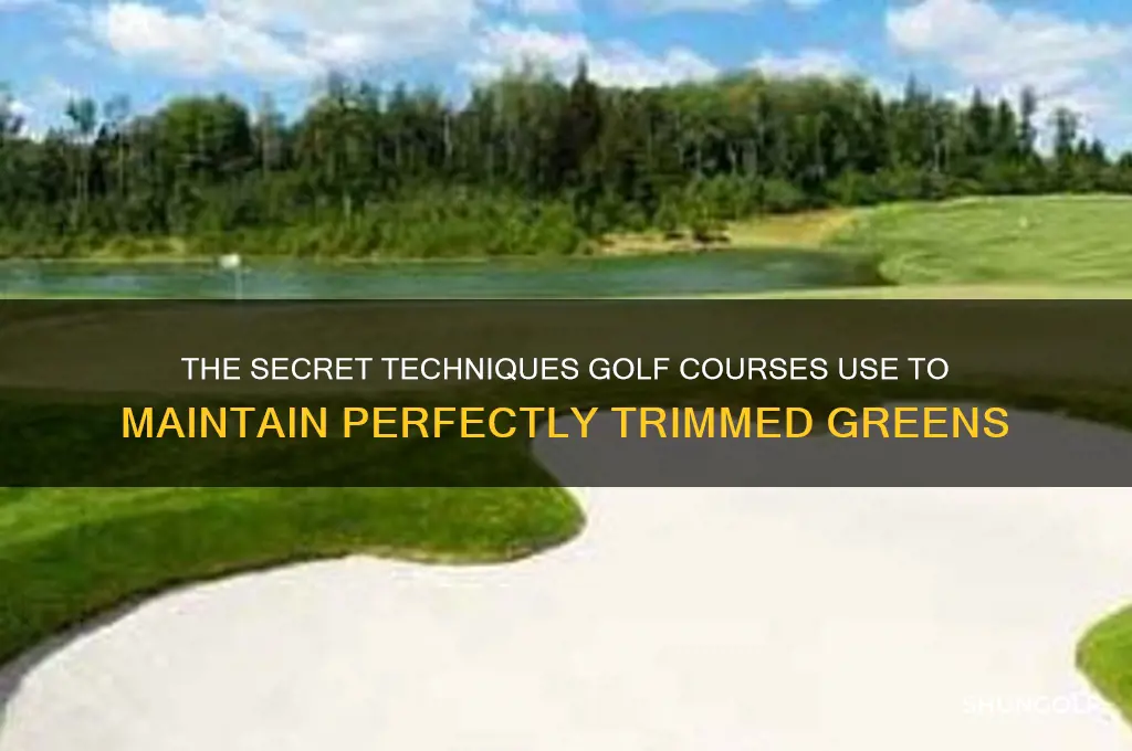 how do golf courses keep grass so short