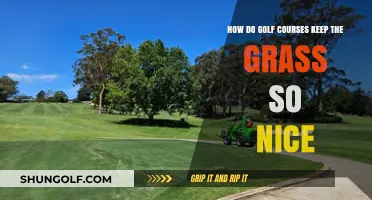 Secrets to Perfect Greens: How Golf Courses Maintain Immaculate Grass