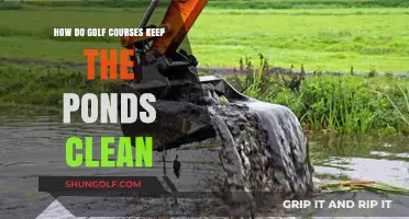 Maintaining Pristine Golf Course Ponds: Effective Cleaning Strategies Revealed