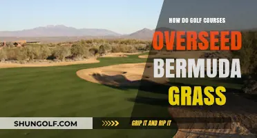 Overseeding Bermuda Grass on Golf Courses: Techniques and Best Practices