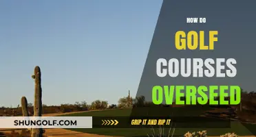 Mastering Overseeding: Techniques Golf Courses Use for Lush Greens