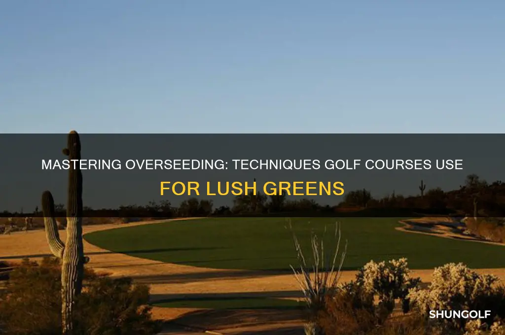 how do golf courses overseed