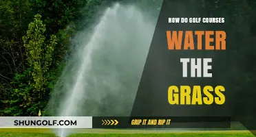 Efficient Golf Course Irrigation: How Greens Stay Lush and Healthy