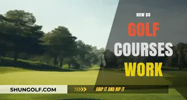 Understanding Golf Course Operations: Design, Maintenance, and Player Experience