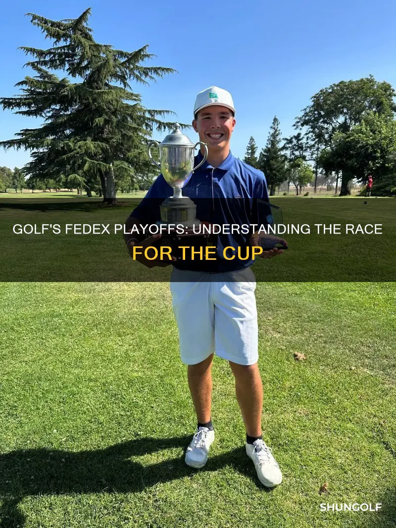 how do golf fedex playoffs work