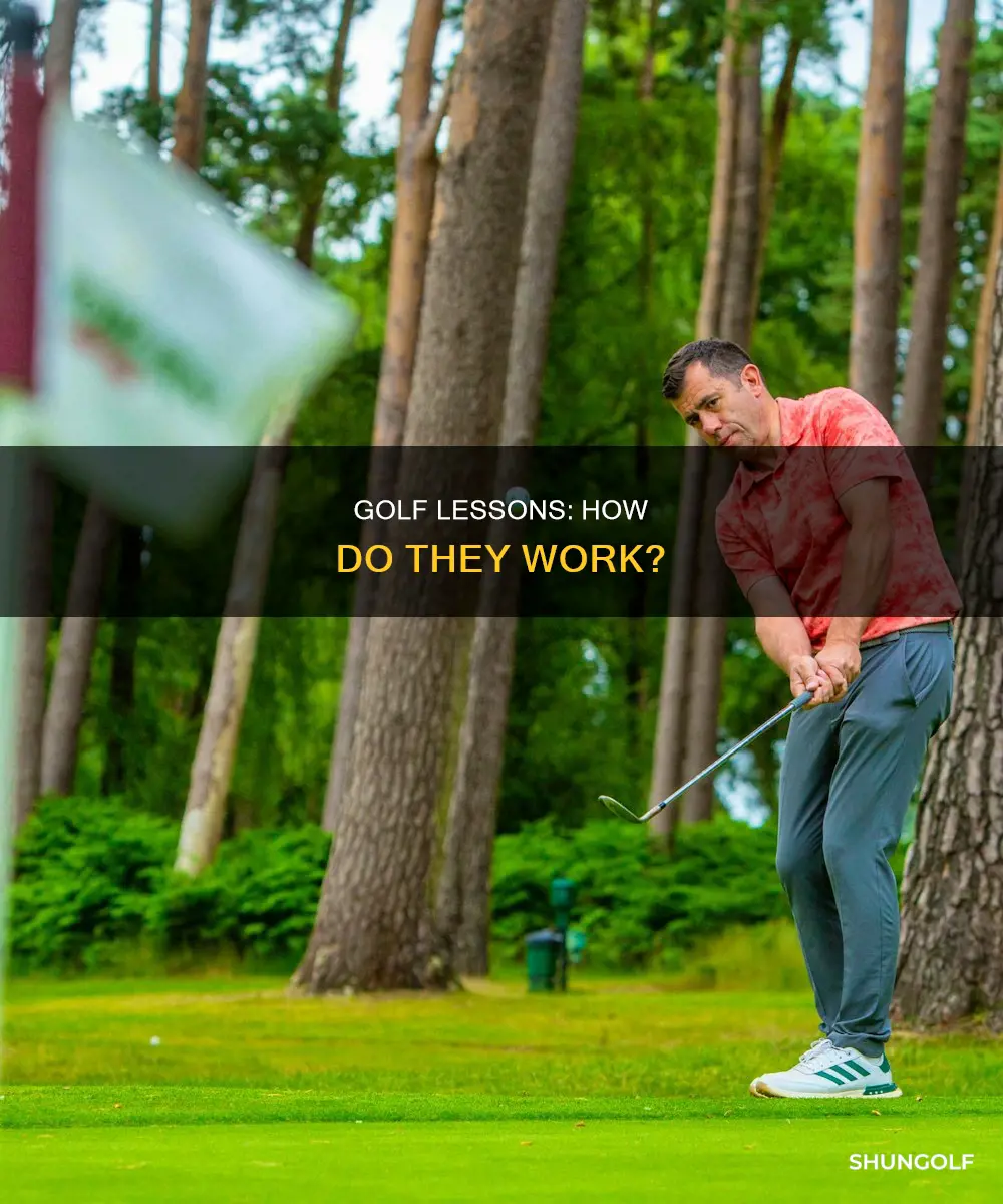 how do golf lessons work