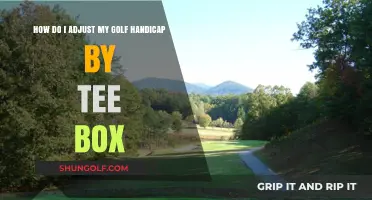 Mastering Handicap Adjustments: Tee Box Strategies for Fair Golf Play