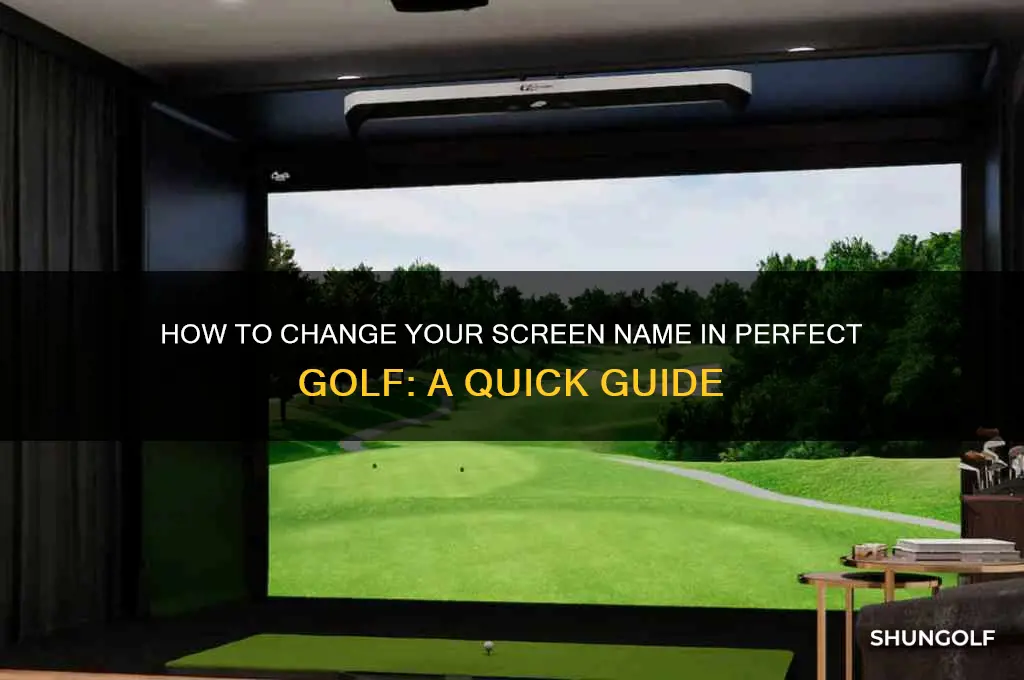 how do i change my screen name in perfect golf