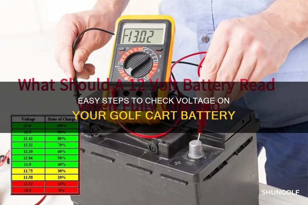 how do i check voltage on my golf cart battery