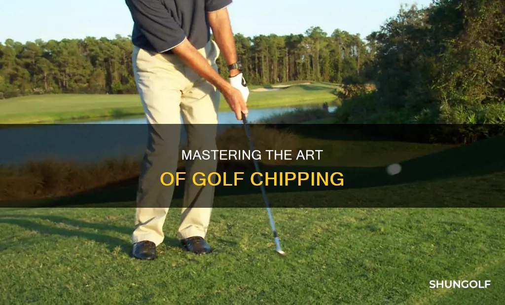 how do i chip in golf
