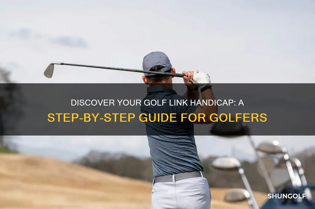 how do i find my golf link handicap