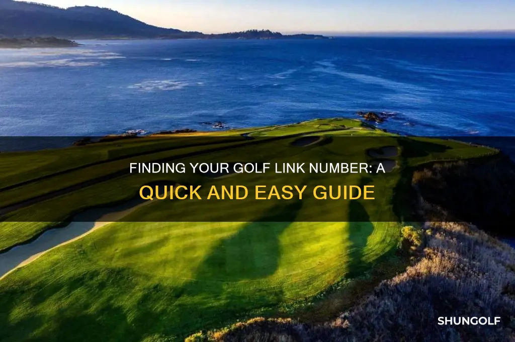 how do i find my golf link number