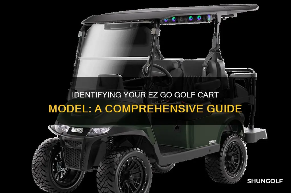 how do i find the type ez go golf cart