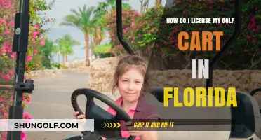Licensing Your Golf Cart in Florida: A Step-by-Step Guide