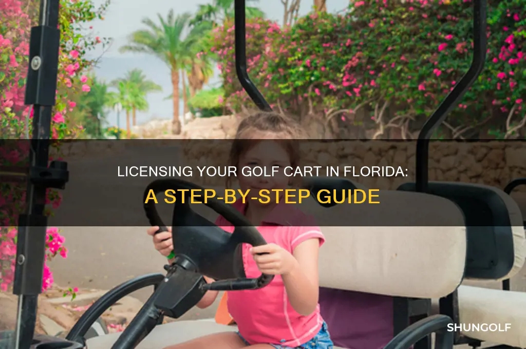 how do i license my golf cart in florida