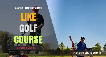 Achieve Perfect Greens: Secrets to Golf Course-Like Lawn Care