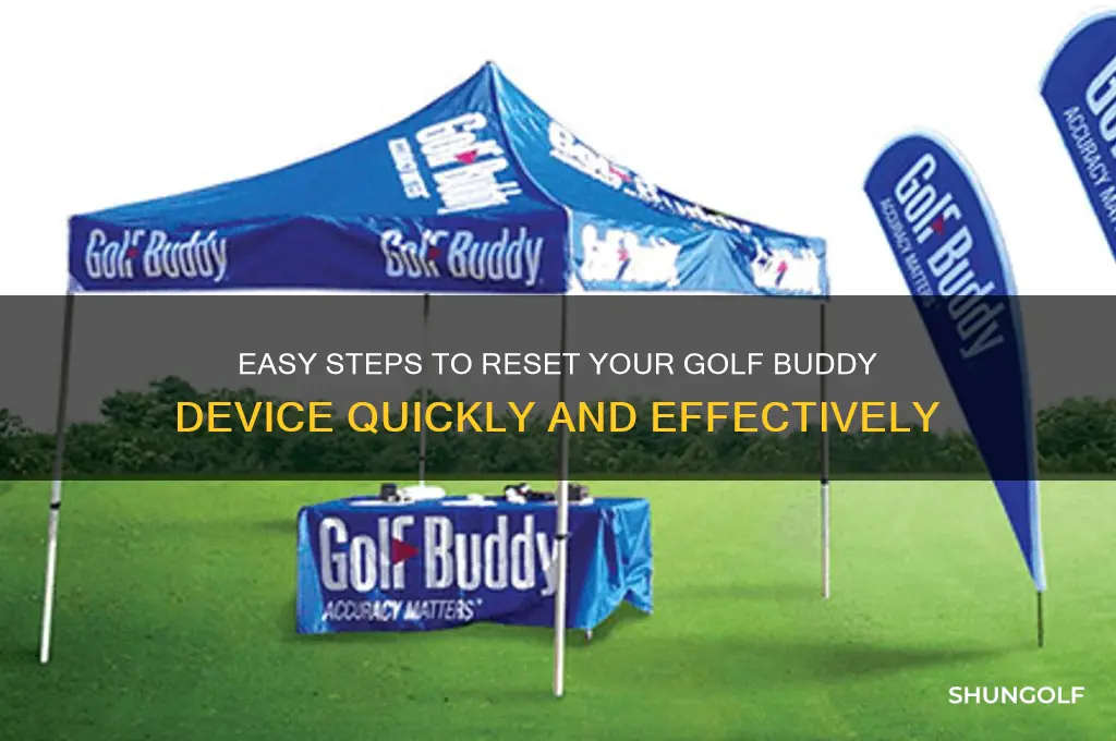 how do i reset my golf buddy