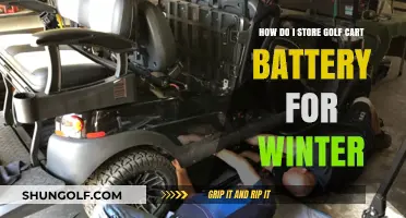 Winter Golf Cart Battery Storage: Essential Tips for Longevity and Performance