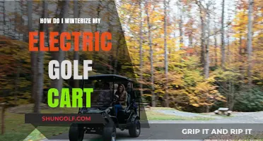 Winterizing Your Electric Golf Cart: Essential Steps for Cold Weather Care