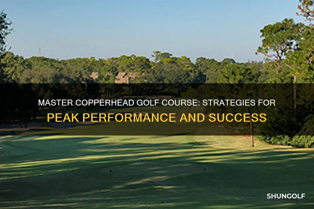 how do play your best at copperhead golf course