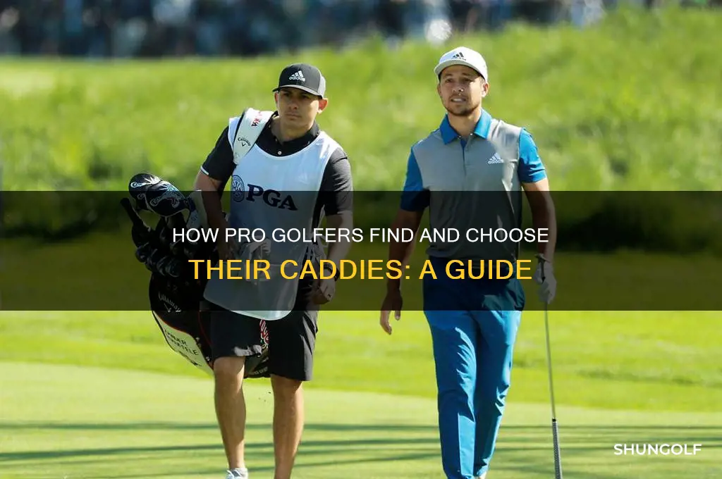 how do pro golf find a caddie