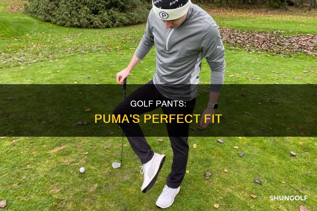 how do puma golf pants fit