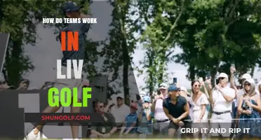 Exploring the Dynamics: How Teams Collaborate in LIV Golf