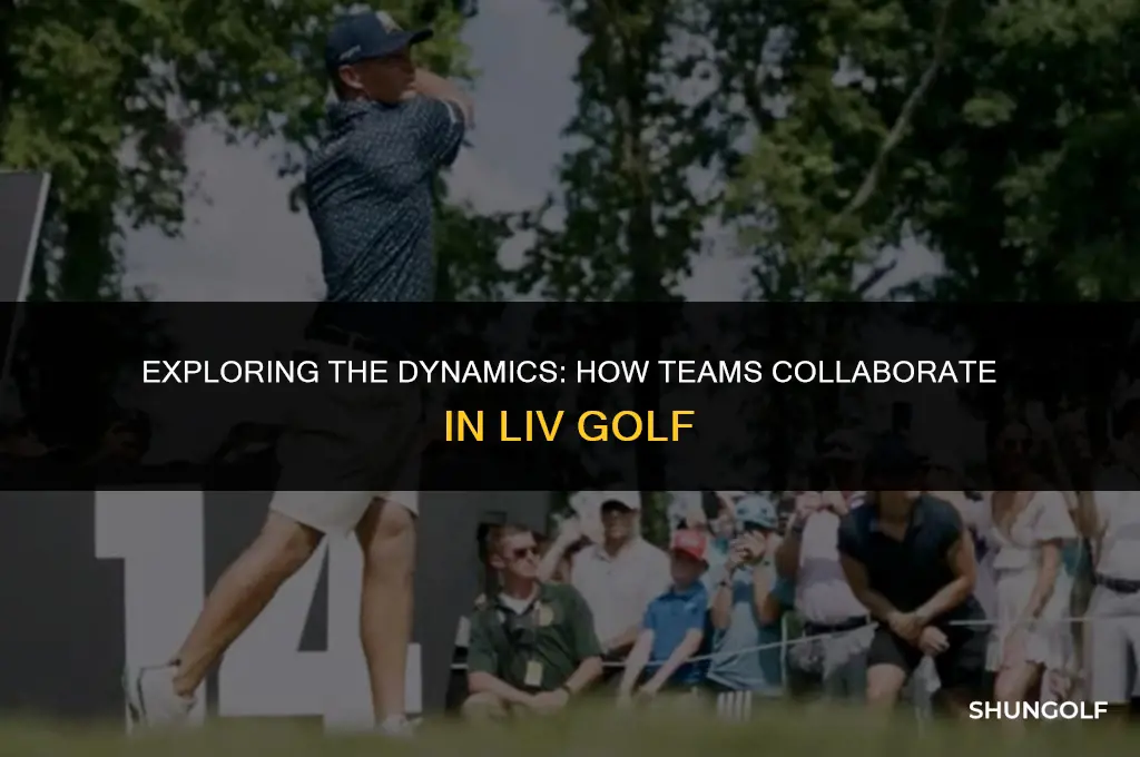 how do teams work in liv golf