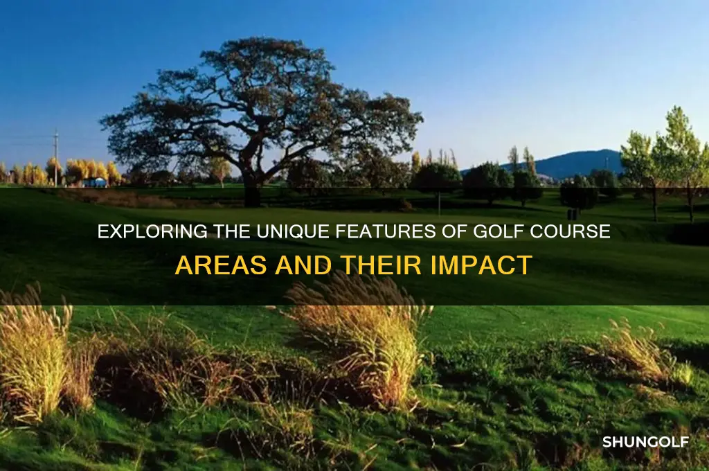 how do the five specific areas of the golf course