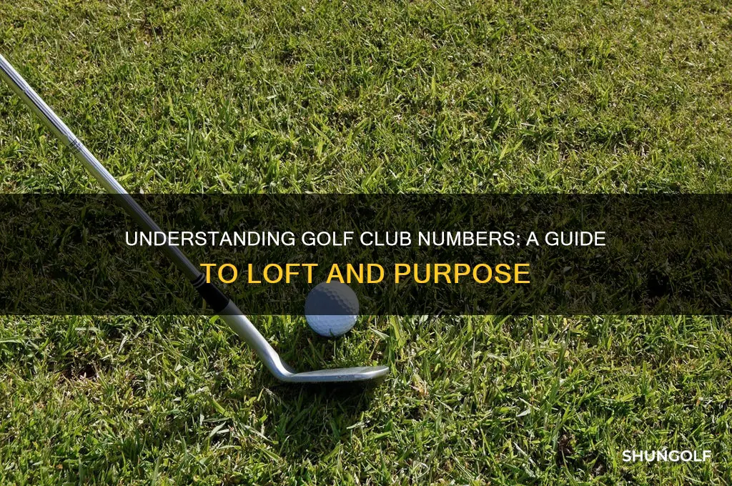 how do the numbers on golf clubs work