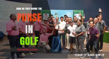 Understanding Golf's Prize Money Distribution: How the Purse is Divided