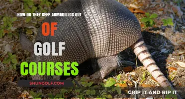 Effective Strategies to Keep Armadillos Off Golf Courses