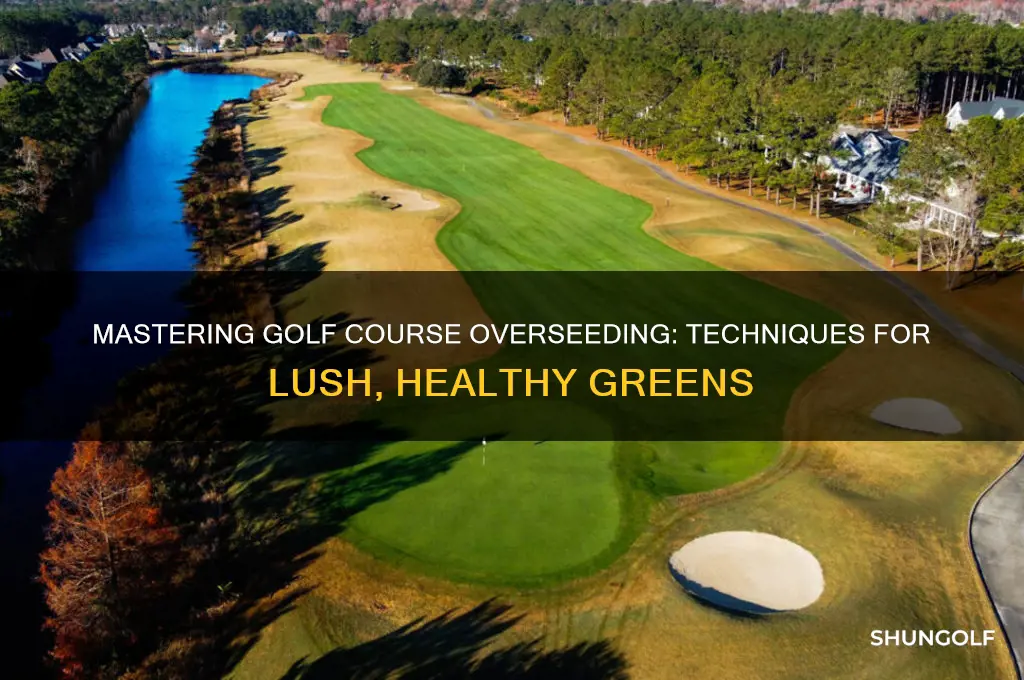 how do they over seed a golf course