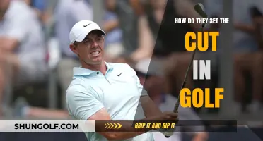 Understanding Golf's Cut: How It's Set and Why It Matters