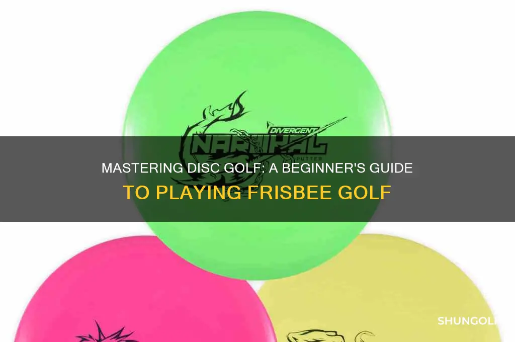 how do u play frisbee golf