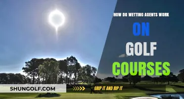 How Wetting Agents Enhance Golf Course Turf Health and Performance