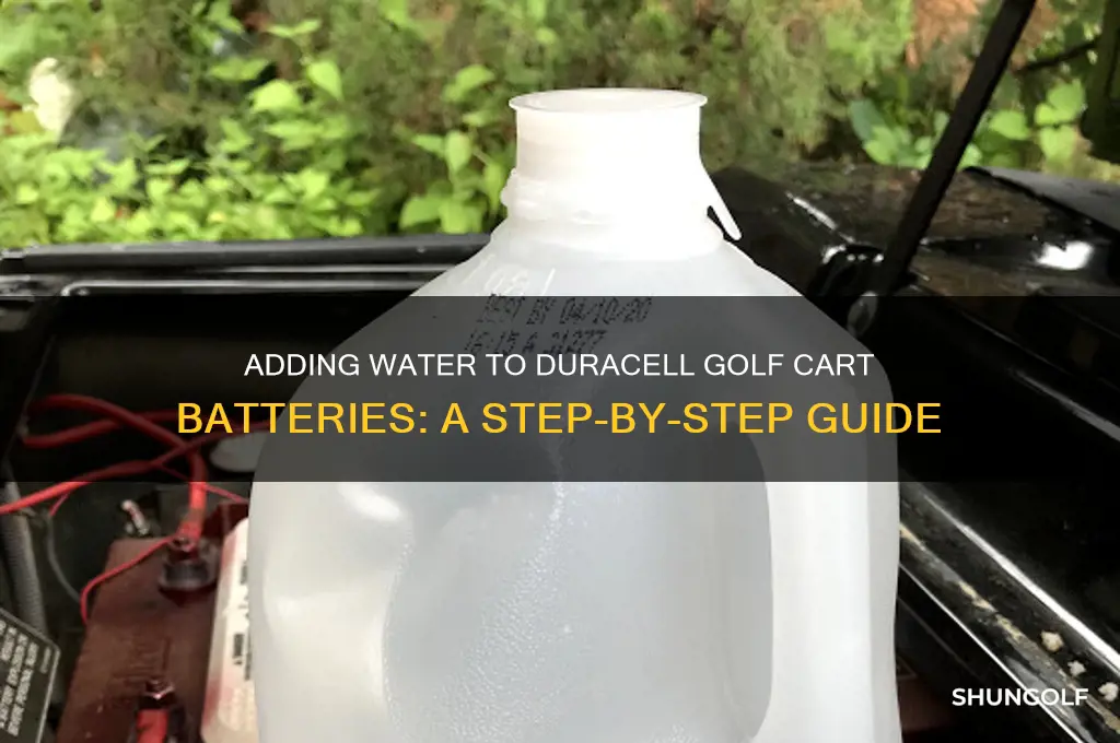how do you add water to duracell golf cart batteries