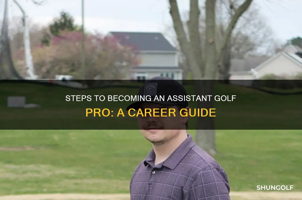how do you become an assistant golf pro
