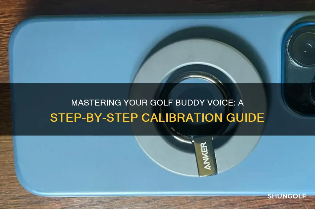 how do you calibrate a golf buddy voice