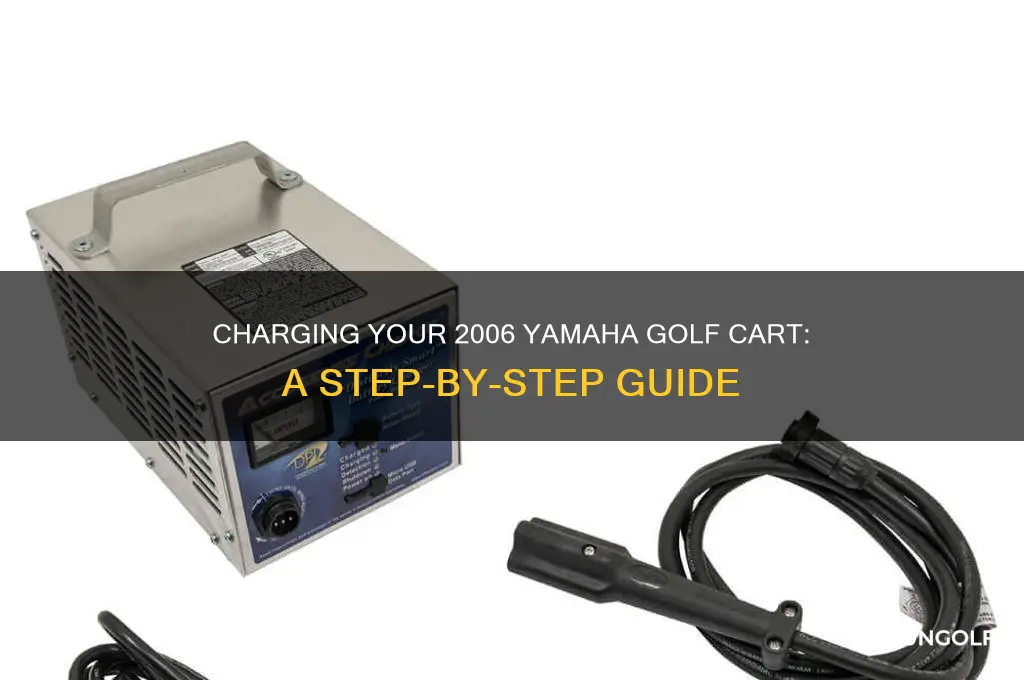 how do you charge a 2006 yamaha golf cart