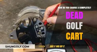 Reviving a Dead Golf Cart: Step-by-Step Charging Guide for Beginners