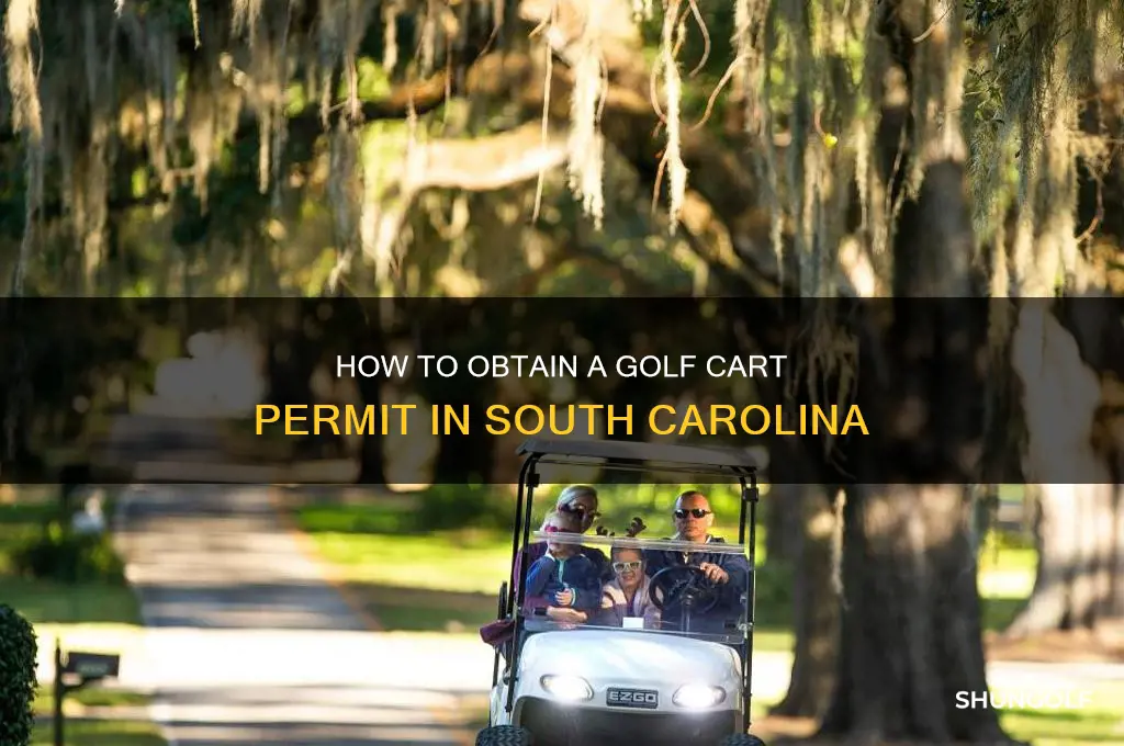 how do you get a golf cart permit in sc