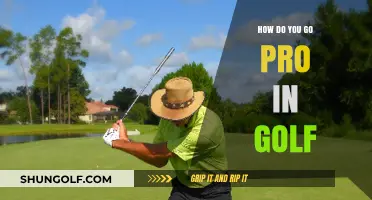 Mastering the Fairway: Steps to Becoming a Professional Golfer