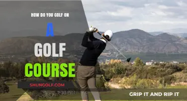 Mastering the Fairways: A Beginner's Guide to Golf Course Play