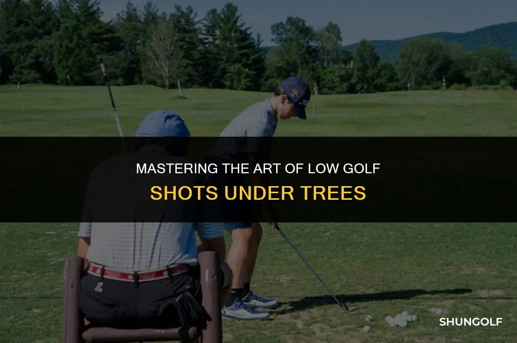 how do you hit a low golf shot under trees